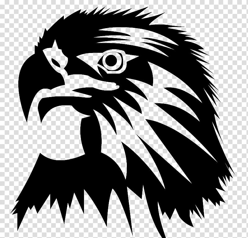 Eagle Bird, Bald Eagle, Drawing, Silhouette, Beak, Black And White
, Bird Of Prey, Head, Facial Hair transparent background PNG clipart