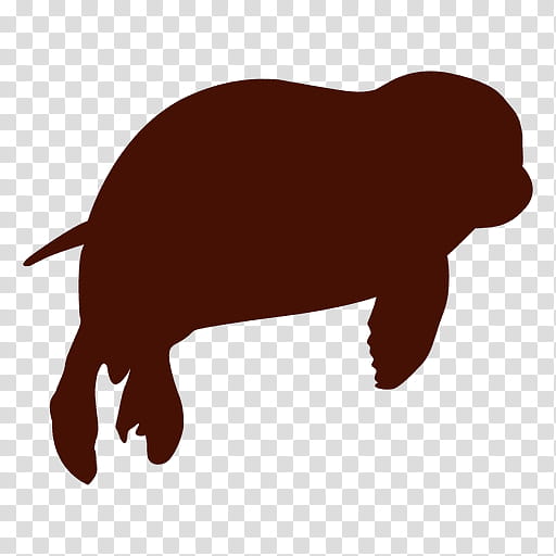 Bear, Earless Seal, Three Sisters Springs, Silhouette, West Indian Manatee, Pinniped, Snout, Wildlife transparent background PNG clipart