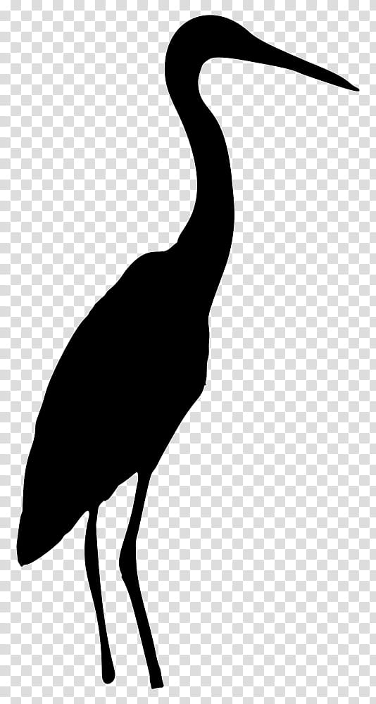 Crane Bird, Beak, Silhouette, Water Bird, Cranelike Bird, Heron, Ibis, Pelecaniformes transparent background PNG clipart