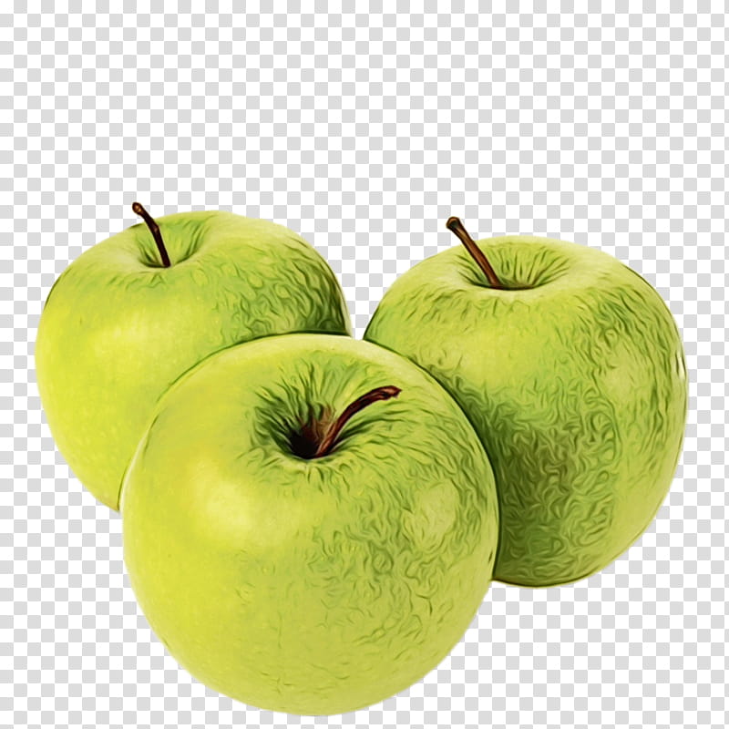 granny smith apple fruit green natural foods, Watercolor, Paint, Wet Ink, Plant, Superfood, Pectin transparent background PNG clipart