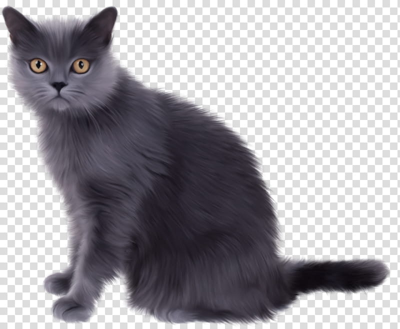 High Quality  Cats , sitting gray cat illustration transparent background PNG clipart