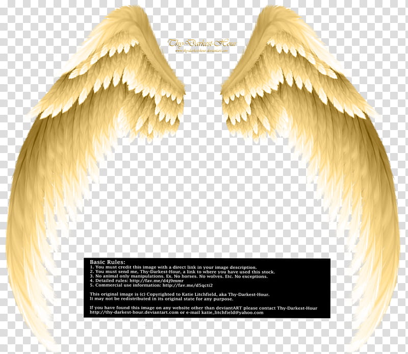 Black angel wings , black wings costume transparent background PNG clipart