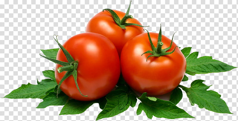 Vegetable, Plum Tomato, Food, Natural Foods, Health, Garlic, Basil, Bush Tomato transparent background PNG clipart
