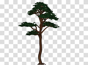 plant 01 transparent background PNG clipart thumbnail