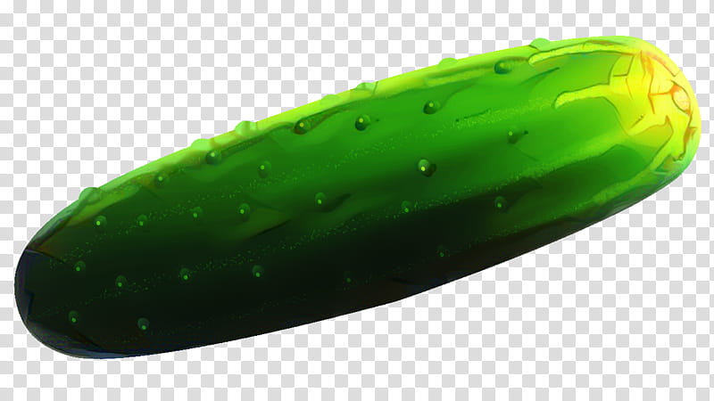Vegetable, Cucumber, Pickled Cucumber, Cucumber M, Green, Plant, Cucumis, Luffa transparent background PNG clipart