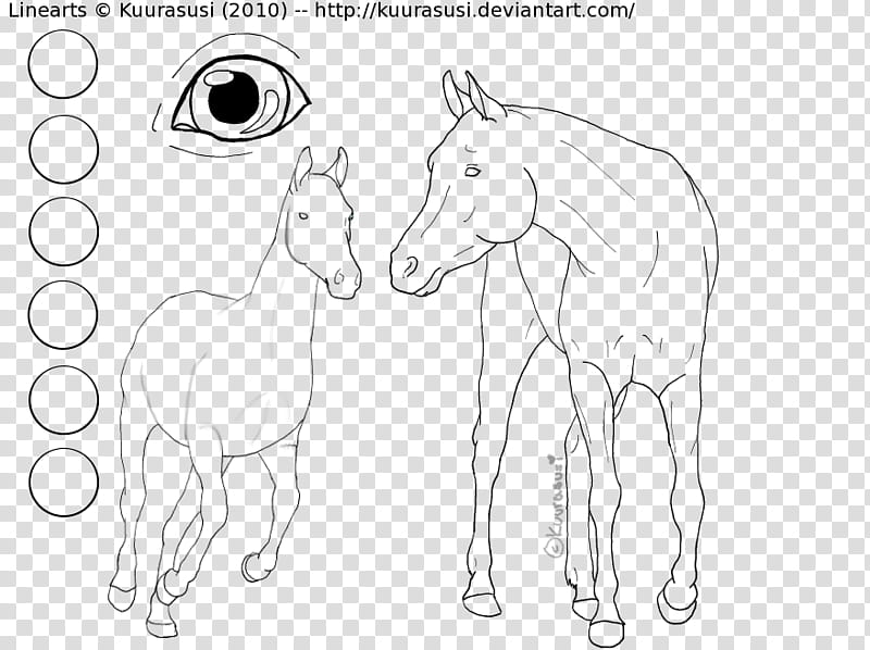 Horse Lineart , two horse illustration transparent background PNG clipart