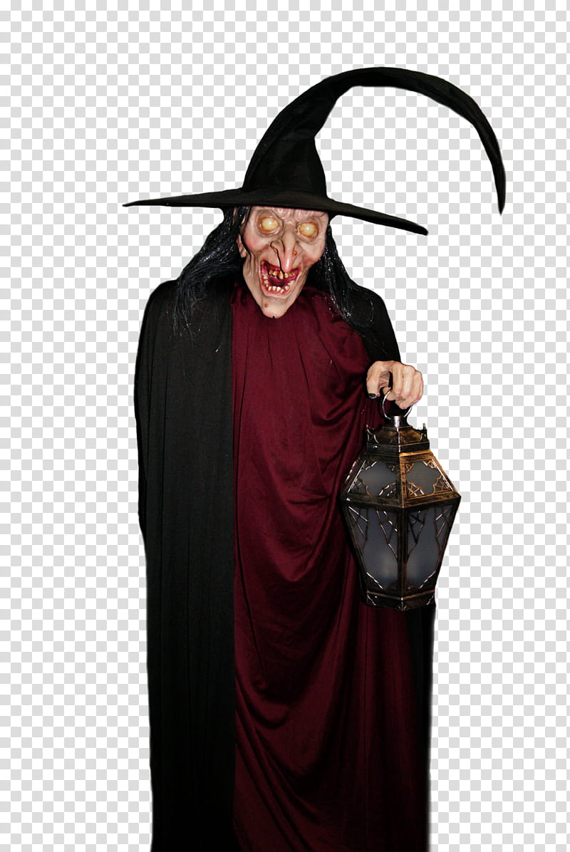 Wicked Witch transparent background PNG clipart