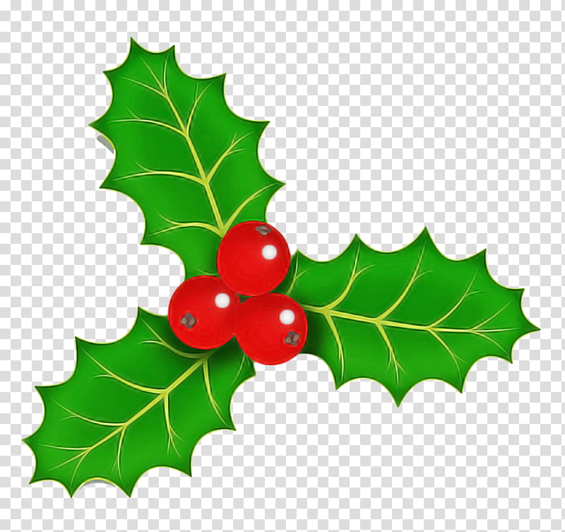 Holly, Leaf, Grape Leaves, American Holly, Plant, Tree, Flower, Plane transparent background PNG clipart
