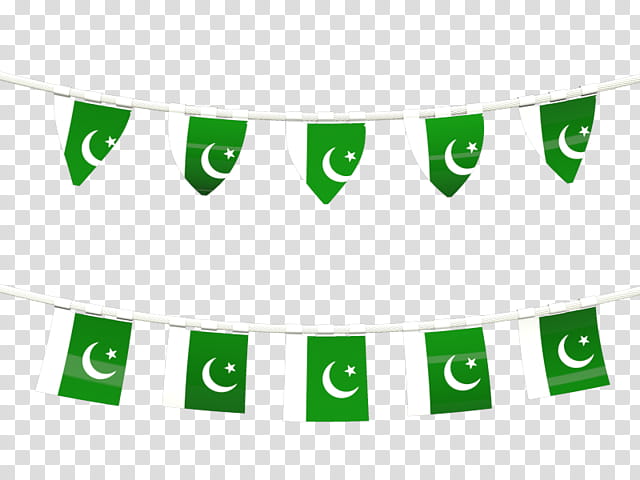 Pakistan Flag, Flag Of Pakistan, Banner, Pakistanis, Green, Text, Area, Line transparent background PNG clipart