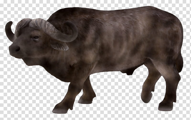 African Family, Water Buffalo, Toy, Schleich, Cattle, Online Shopping, Snout, Farmhouse transparent background PNG clipart