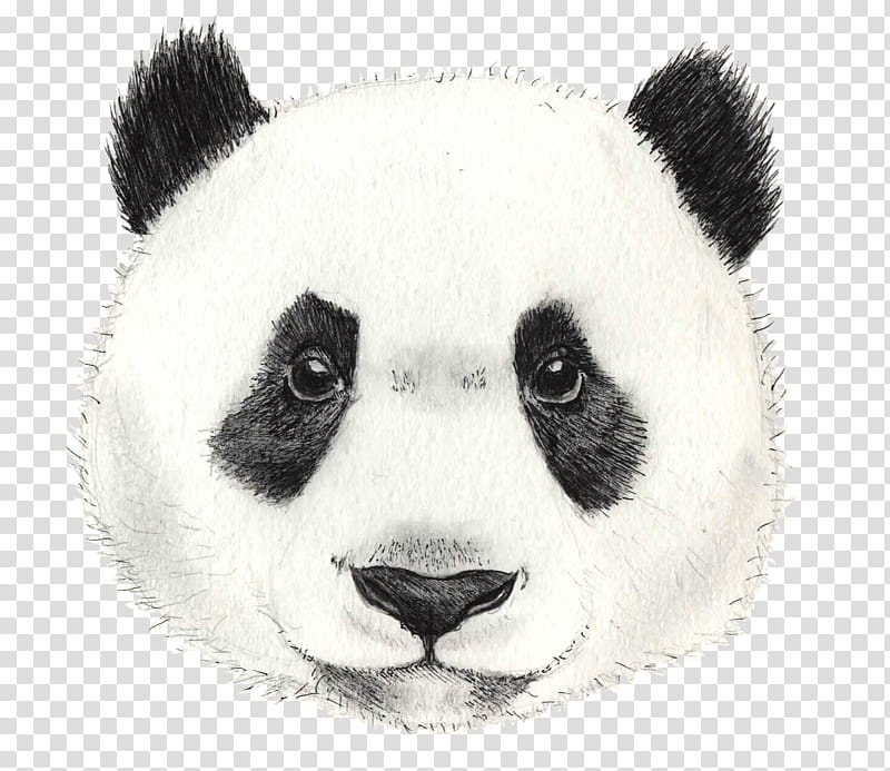 Watercolor Animal, Giant Panda, Red Panda, Bear, Tibetan Mastiff, Drawing, Cuteness, English Mastiff transparent background PNG clipart