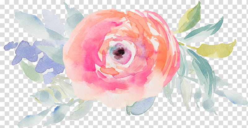 Rose, Pink, Watercolor Paint, Fish, Goldfish, Petal, Flower, Plant transparent background PNG clipart