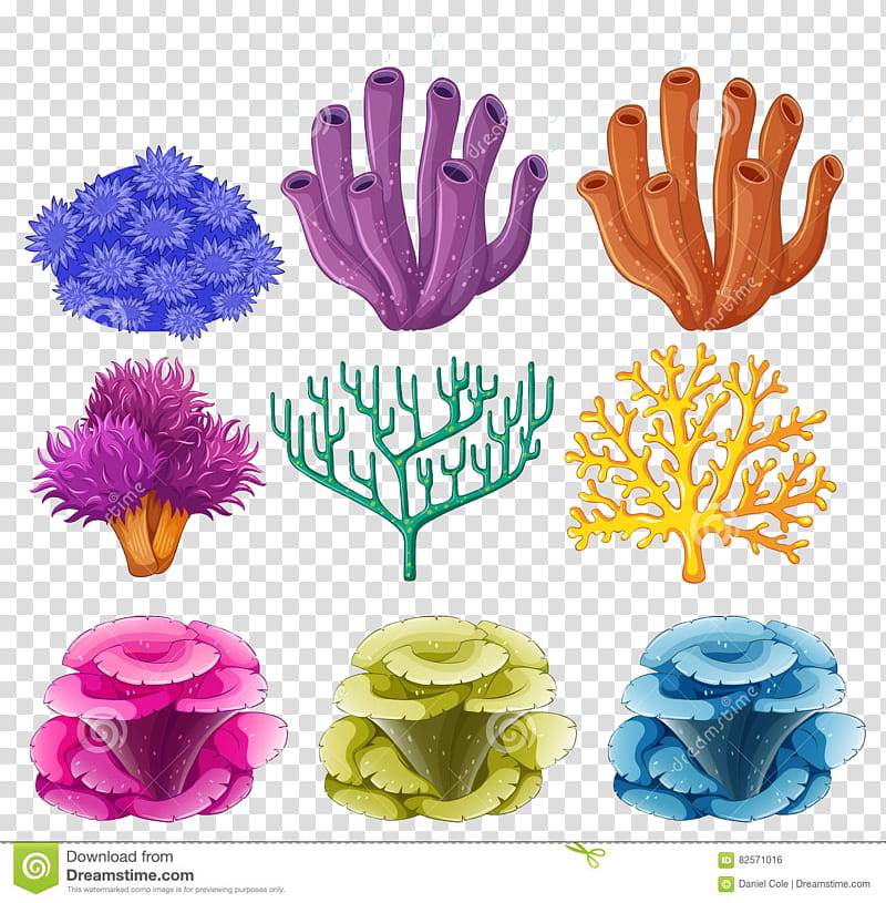 Coral Reef, Jellyfish, Flower, Hand, Petal transparent background PNG clipart