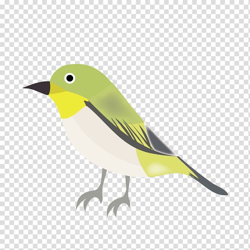 Cherry Blossom, Japanese Whiteeye, Bird, Old World Orioles, Silhouette, Beak, Feather, Flat Design transparent background PNG clipart