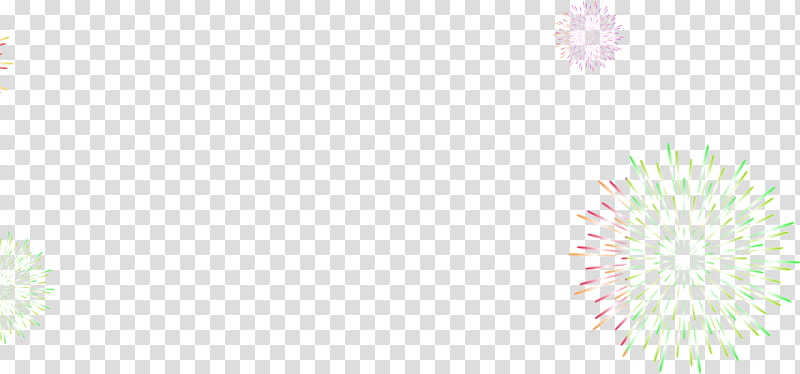 Pink Flower, Fireworks, Firecracker, Miaohui, Festival, Petal, graphic Filter, Plant transparent background PNG clipart