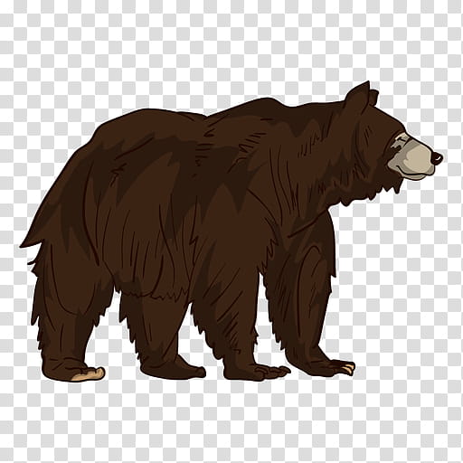 Bear, Grizzly Bear, Chroma Key, Thumb, Number, Language, Green, Animal transparent background PNG clipart