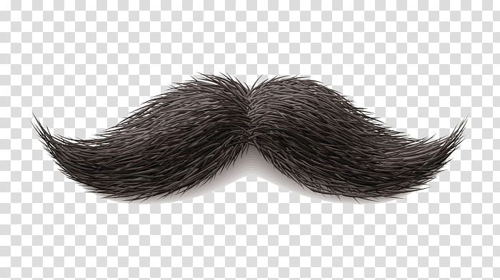 Mustache, Moustache, World Beard And Moustache Championships, Handlebar Moustache, Barbers Shop, Hair, Pencil Thin Mustache, Peelamedu transparent background PNG clipart