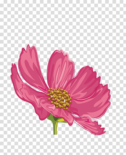 Pink Flowers, Petal, Floral Design, Cut Flowers, Garden Roses, Interflora, Flower Bouquet, Floristry transparent background PNG clipart