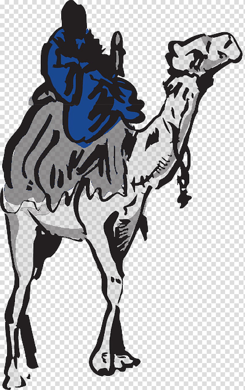 Dromedary Camel, Camel Racing, Drawing, Desert, Arabian Camel, Camelid, Wildlife, Blackandwhite transparent background PNG clipart