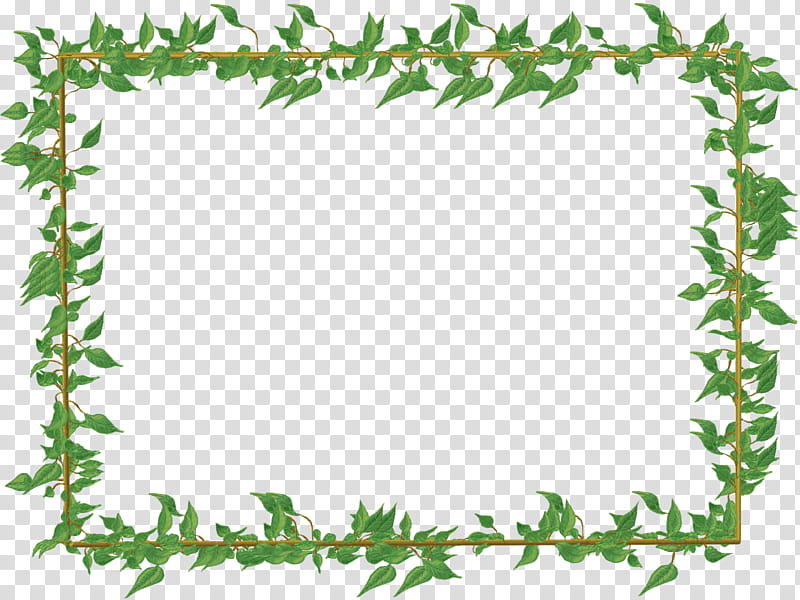 transparent vine border