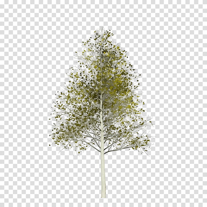 Watercolor Nature, Paint, Wet Ink, Aspen, Painting, Drawing, Tree, Music transparent background PNG clipart
