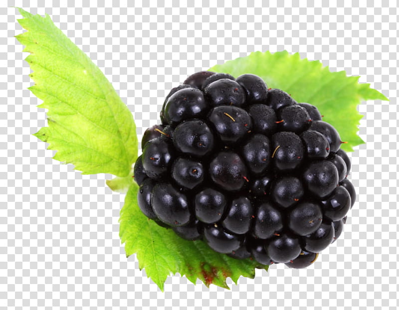 Grape, Blackberry Keyone, Blackberry Z10, Blackberry Limited, Blackberry Priv, Blackberry Dtek50, Berries, BlackBerry World transparent background PNG clipart