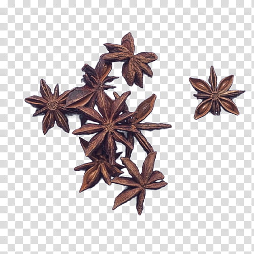 Star, Spice, Anise, Star Anise, Flavor, Stewing, Spicery, Vegetable transparent background PNG clipart