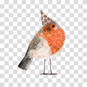 Resources, orange, white and grey bird art transparent background PNG clipart