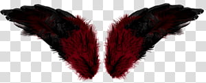 Wings transparent background PNG clipart thumbnail