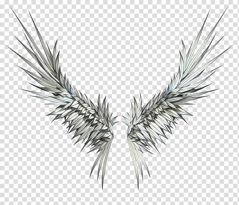 Magical Wings , white and gray wings illustration transparent background PNG clipart