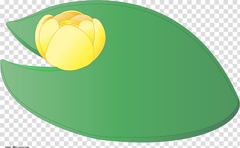 Pond, Water Lilies, Blog, Green, Yellow, Ball, Plant, Tulip transparent background PNG clipart