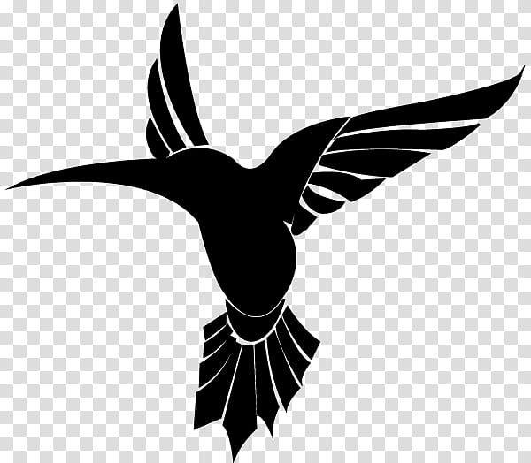 Swallow Bird, Beak, Neck, Character, Water Bird, Silhouette, Wing, Hummingbird transparent background PNG clipart