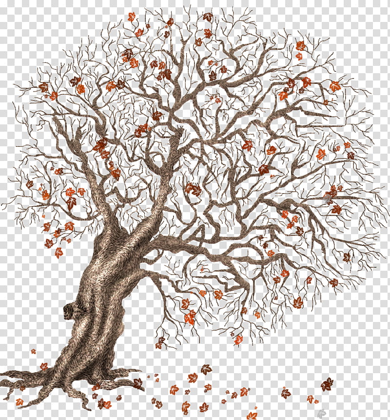 Autumn Winter trees, bare tree illustration transparent background PNG clipart