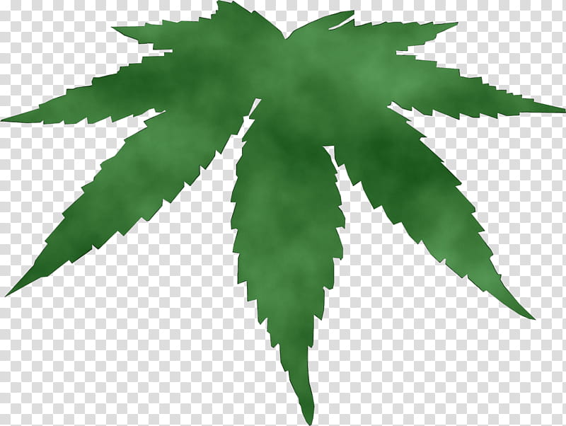 Palm tree, Watercolor, Paint, Wet Ink, Leaf, Green, Plant, Hemp Family transparent background PNG clipart