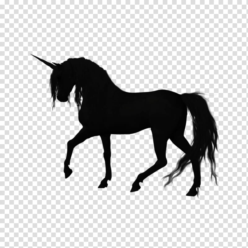 Unicorn, Silhouette, American Quarter Horse, Stallion, Pony, Black, Sallie Gardner At A Gallop, Mane transparent background PNG clipart