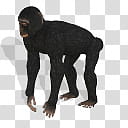 Spore creature Bonobo male, primate illustration transparent background PNG clipart