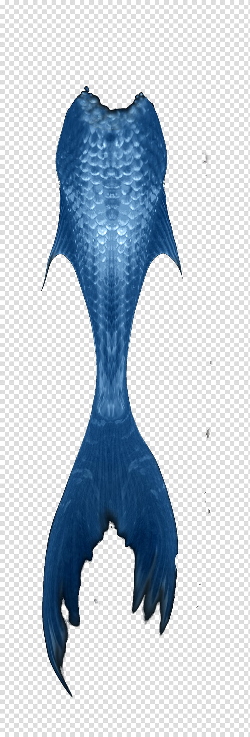 colas de sirenas, blue and white fish tail transparent background PNG clipart