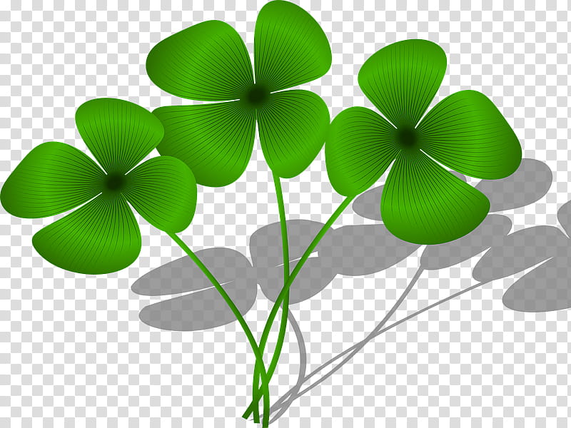 Saint Patricks Day, Fourleaf Clover, Luck, Good Luck Charm, Symbol, Third Grade, Happiness, Green transparent background PNG clipart