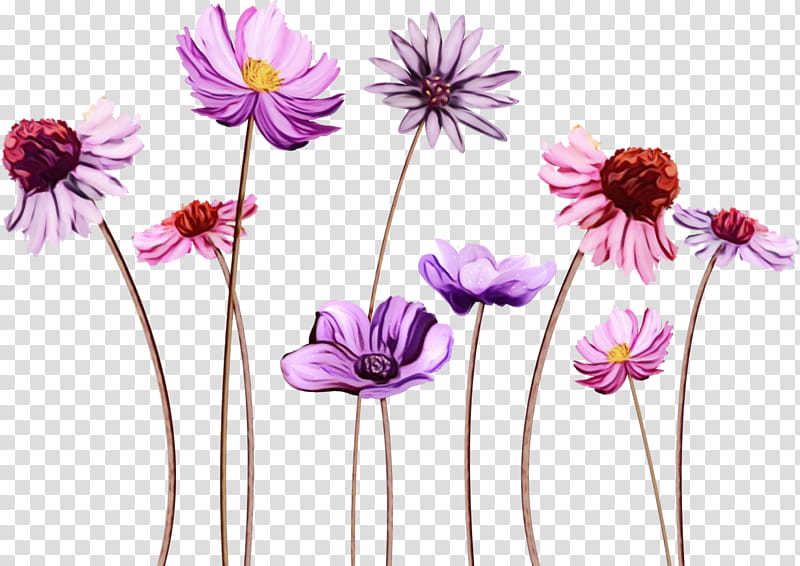 Daisy, Watercolor, Paint, Wet Ink, Flowering Plant, Purple, Petal, Wildflower transparent background PNG clipart