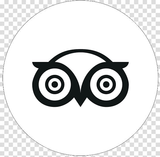 Bird Line Art, TripAdvisor, Logo, Hotel, Travel, Review, Travel Website, Owl transparent background PNG clipart