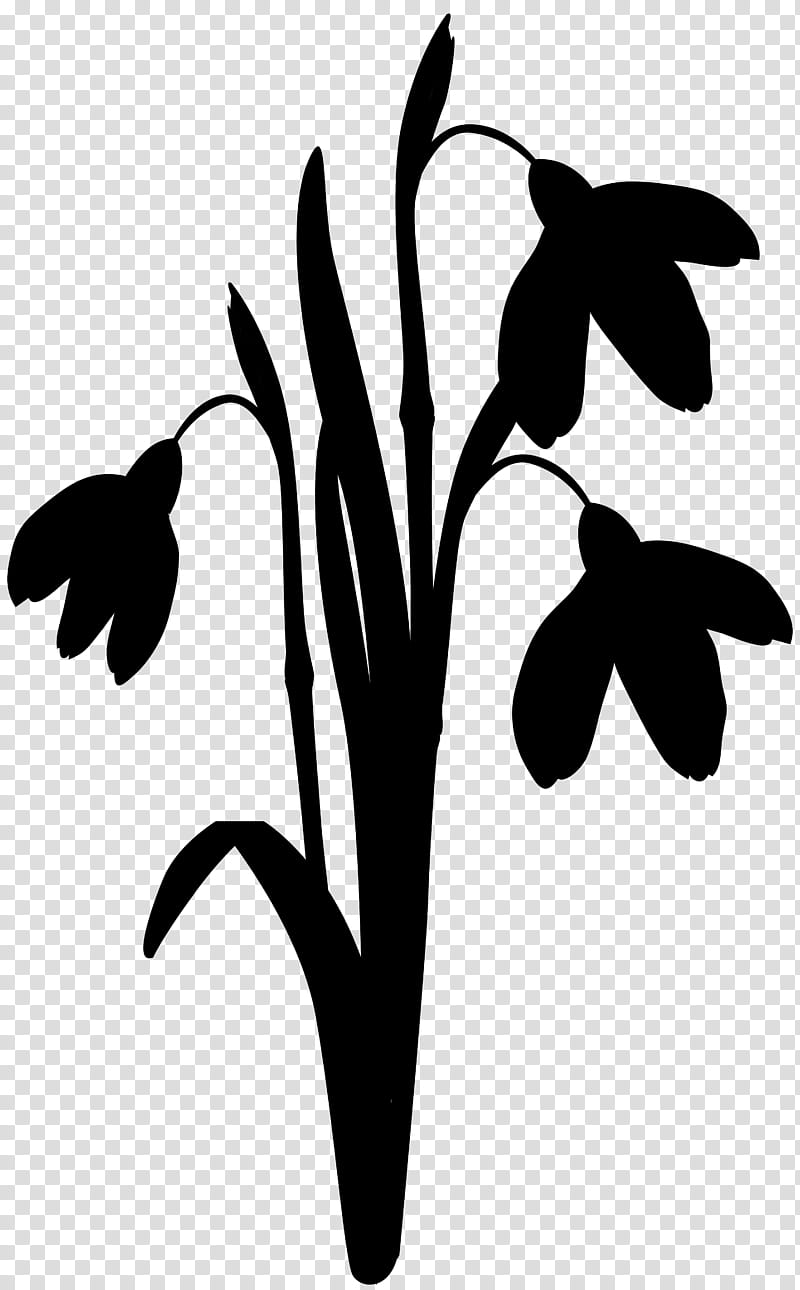 Tree Branch Silhouette, Leaf, Line, Plant Stem, M Butterfly, Plants, Flower, Blackandwhite transparent background PNG clipart