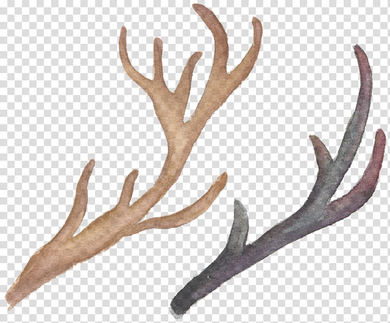 antler horn elk transparent background PNG clipart