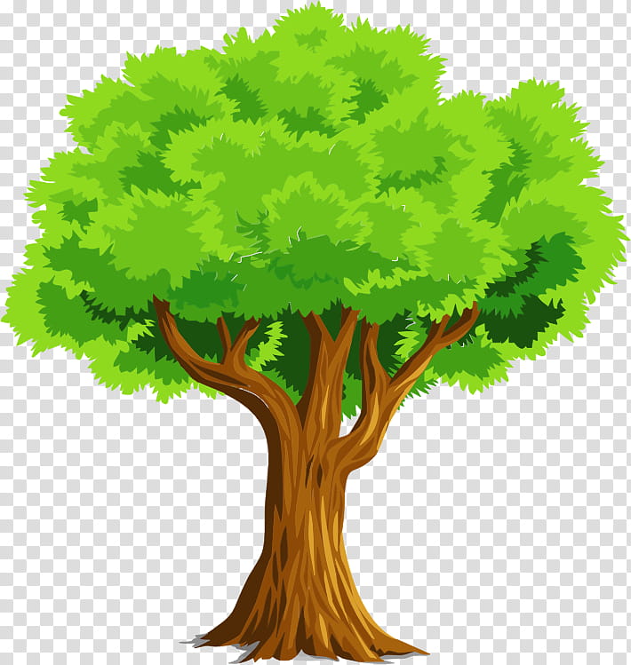 Oak Tree Leaf, Green, Plant, Woody Plant, Arbor Day, Plane, Plant Stem, Grass transparent background PNG clipart