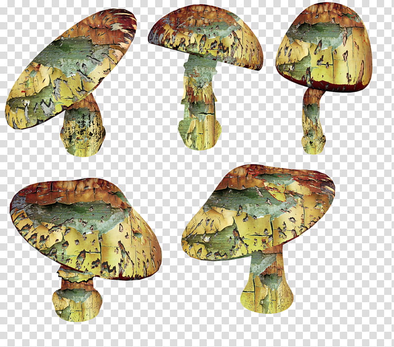 Magic Mushrooms , multicolored mushroom icon transparent background PNG clipart