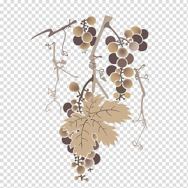 Drawing Of Family, Common Grape Vine, White Wine, Grape Leaves, Tree, Jabuticaba, Grapevines, Leaf transparent background PNG clipart