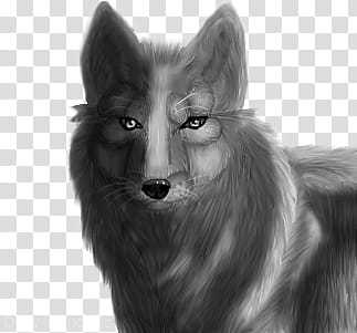 Free Wolf Headshot Base!, gray wolf illustration transparent background PNG clipart