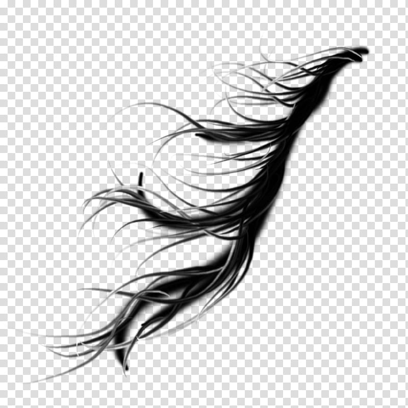 windy rainy hair, woman's hair illustration transparent background PNG clipart.