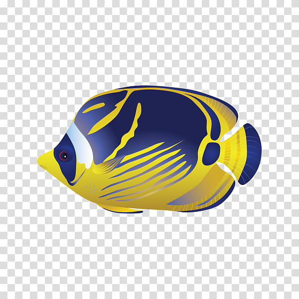 Coral Reef, Biology, Yellow, Fish, Pomacanthidae, Holacanthus, Pomacentridae, Butterflyfish transparent background PNG clipart