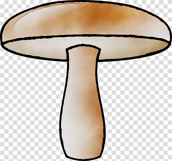 Web Design, Mushroom, Cartoon, Drawing, Fungus, Common Mushroom, Edible Mushroom, Agaricomycetes transparent background PNG clipart