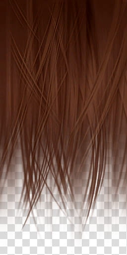 DOALR Mugen Tenshin Shinobi for XNALara XPS, brown abstract illustration transparent background PNG clipart